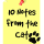 10 Notes From the Cat